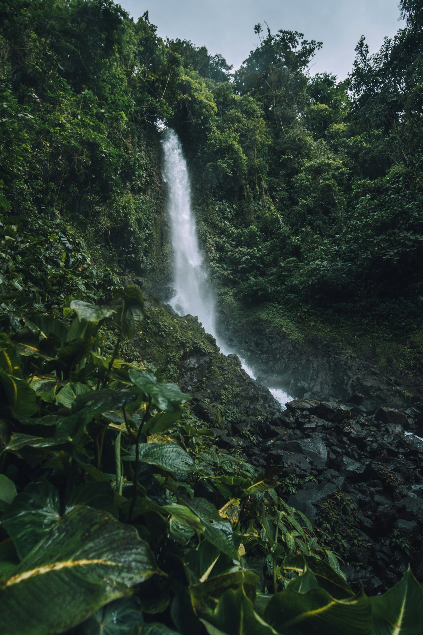 Waterfall among the trees in Costa Rica